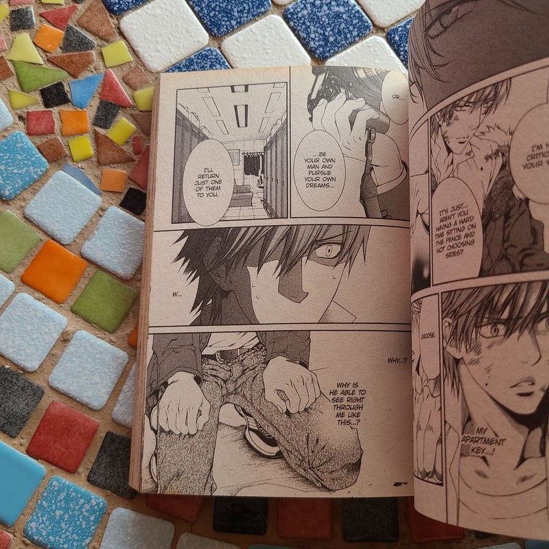 Finder Volume 7: Desire in the Viewfinder (Yaoi Manga)
