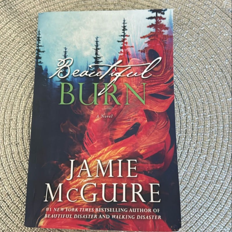 Beautiful Burn by Jamie McGuire