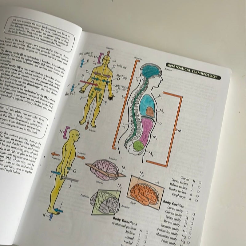 Anatomy Coloring Workbook, 4th Edition