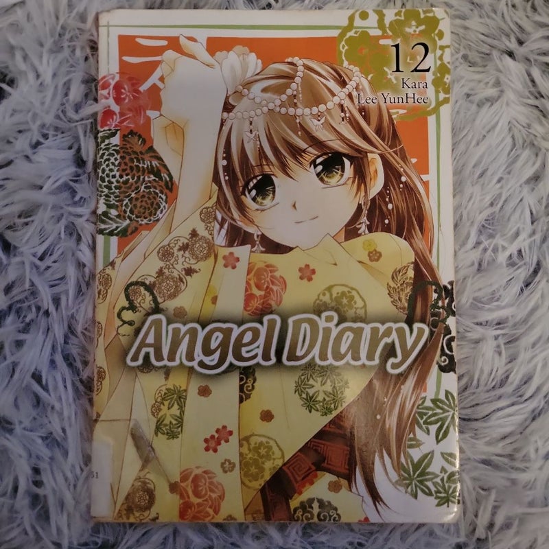 Angel Diary, Vol. 12