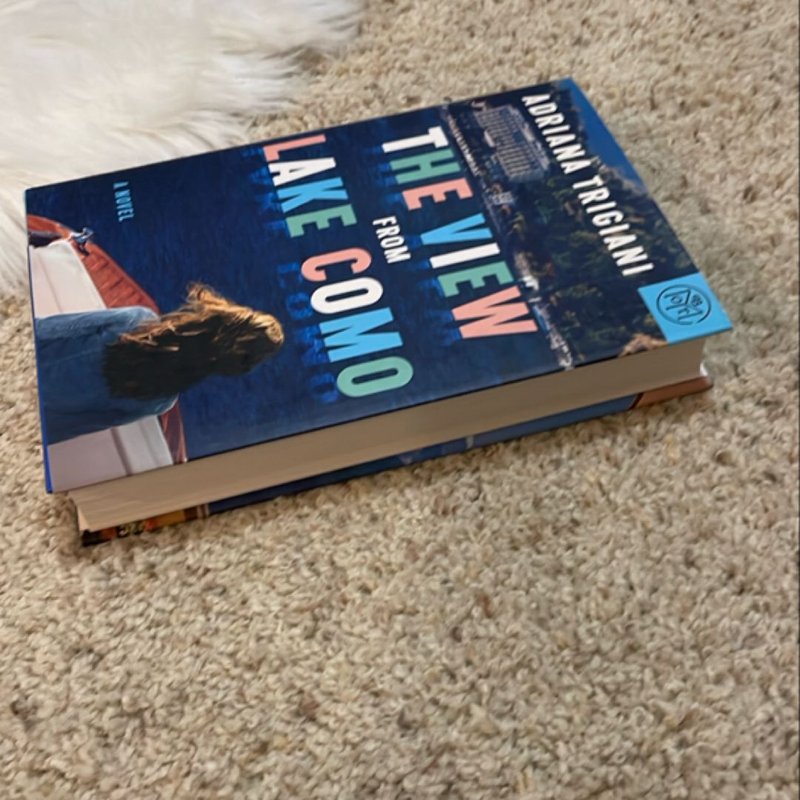 The View from Lake Como