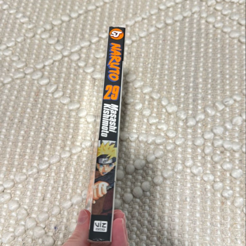 Naruto, Vol. 29