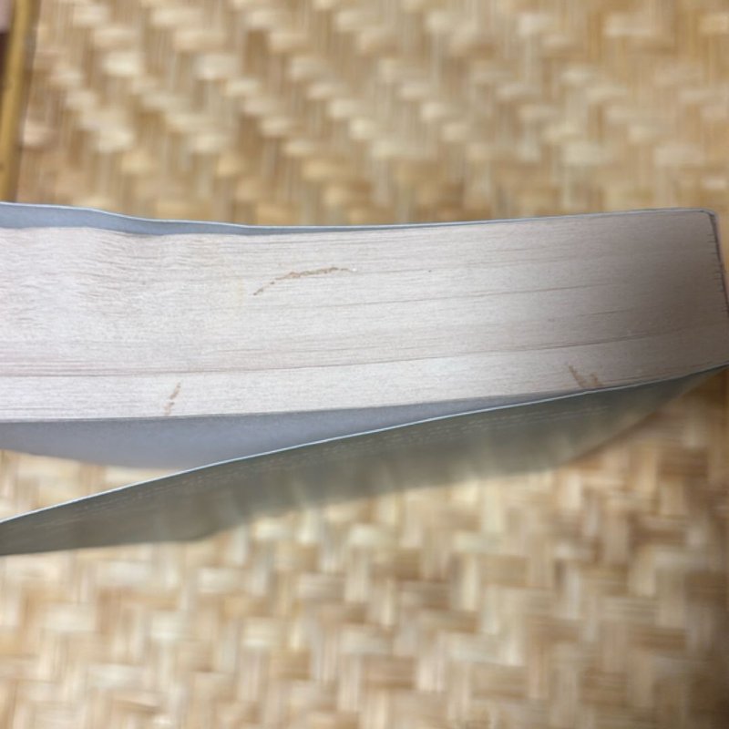 While We Were Dating