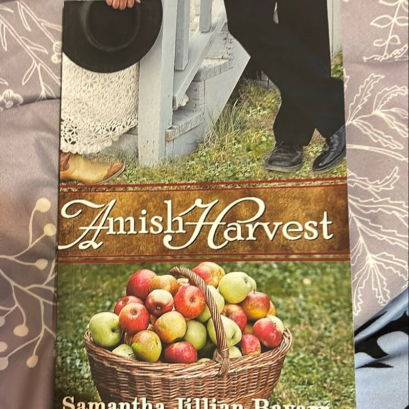 Amish Harvest