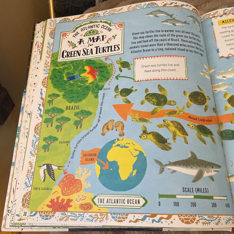 Maps for Penguins