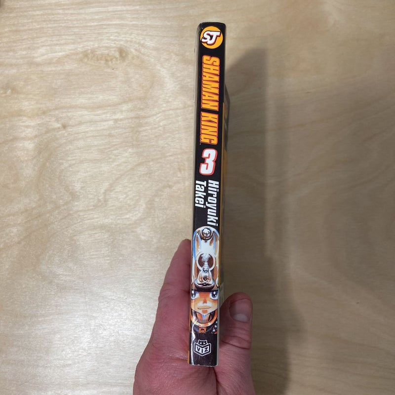Shaman King, Vol. 3
