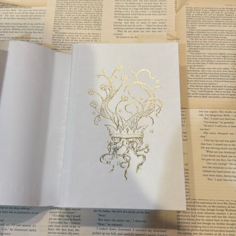 the cruel prince 