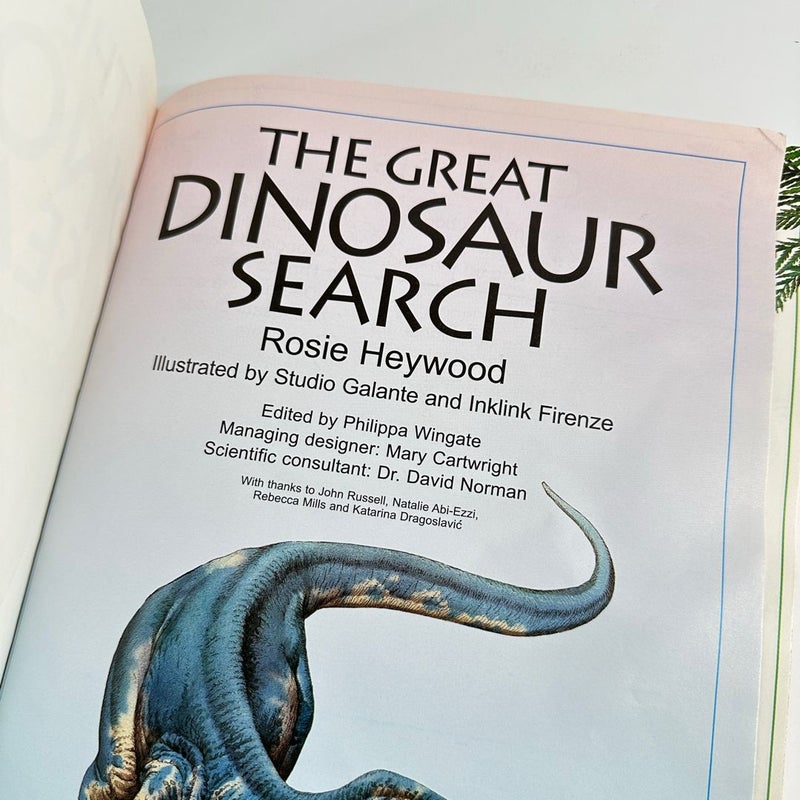 Usborne The Great Dinosaur Search