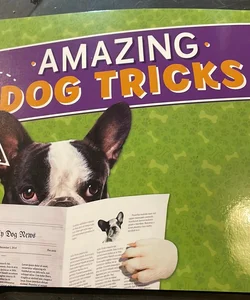 Amazing Dog Tricks 