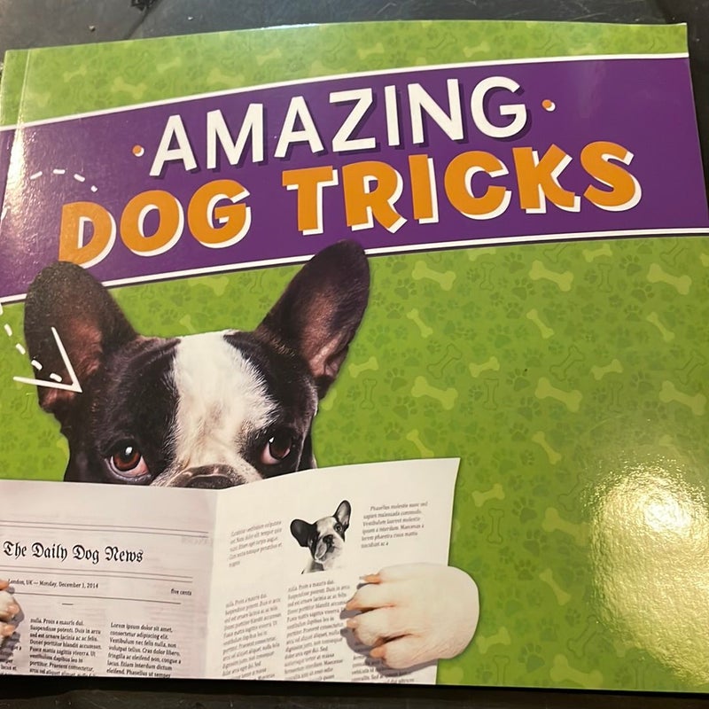 Amazing Dog Tricks 