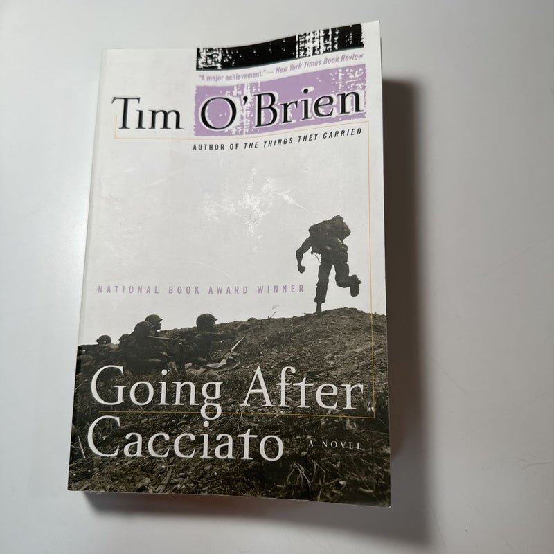 Book Review: “America Fantastica” by Tim O'Brien