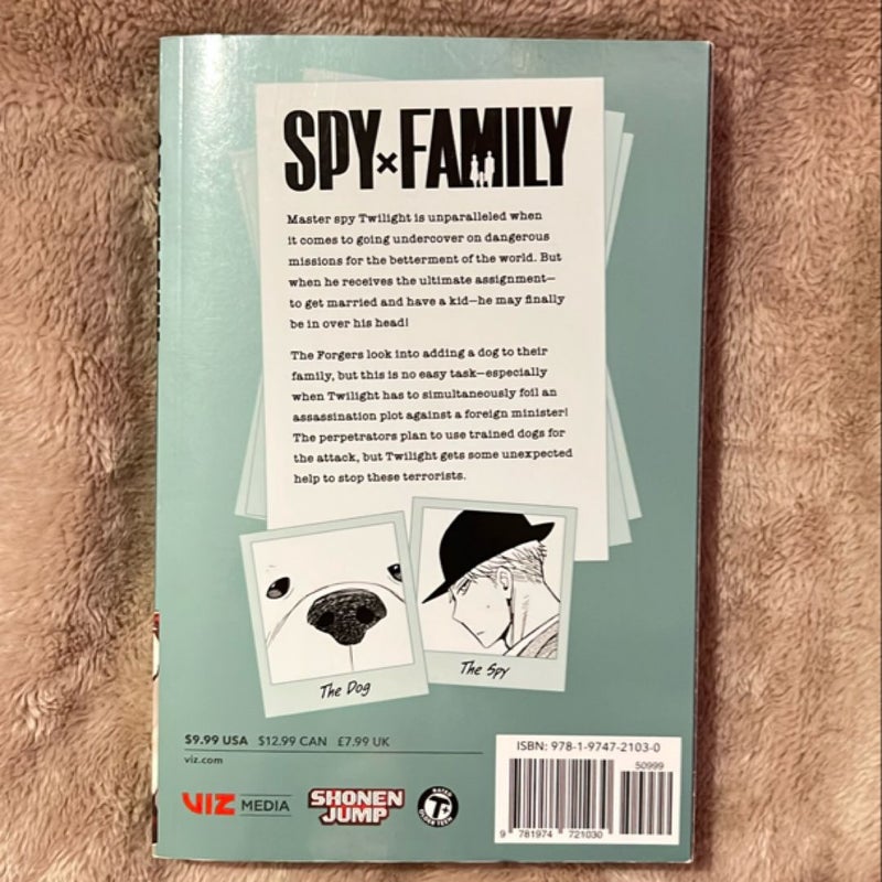 Spy X Family, Vol. 4