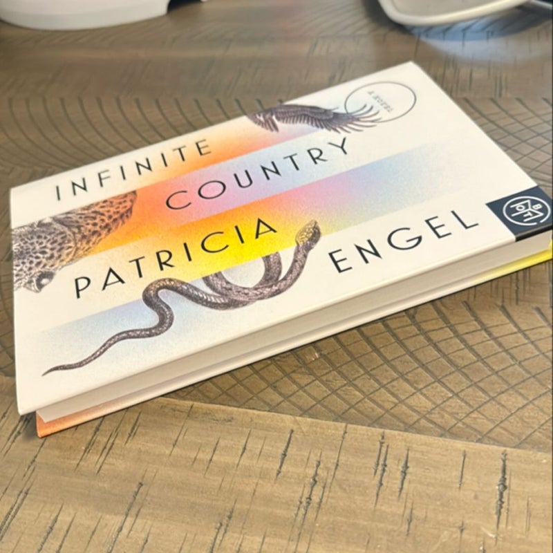 Infinite Country