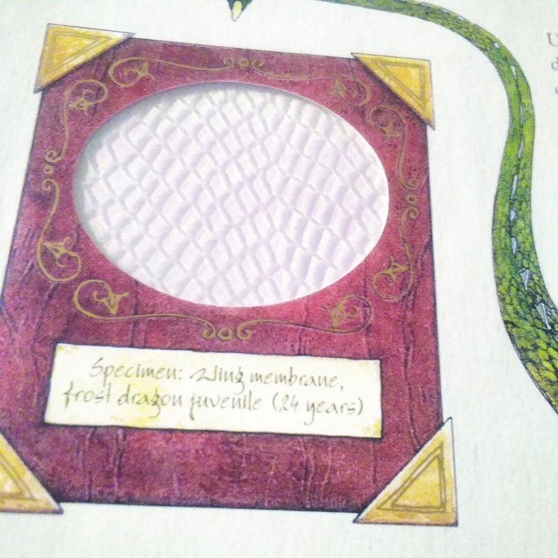 Dragonology