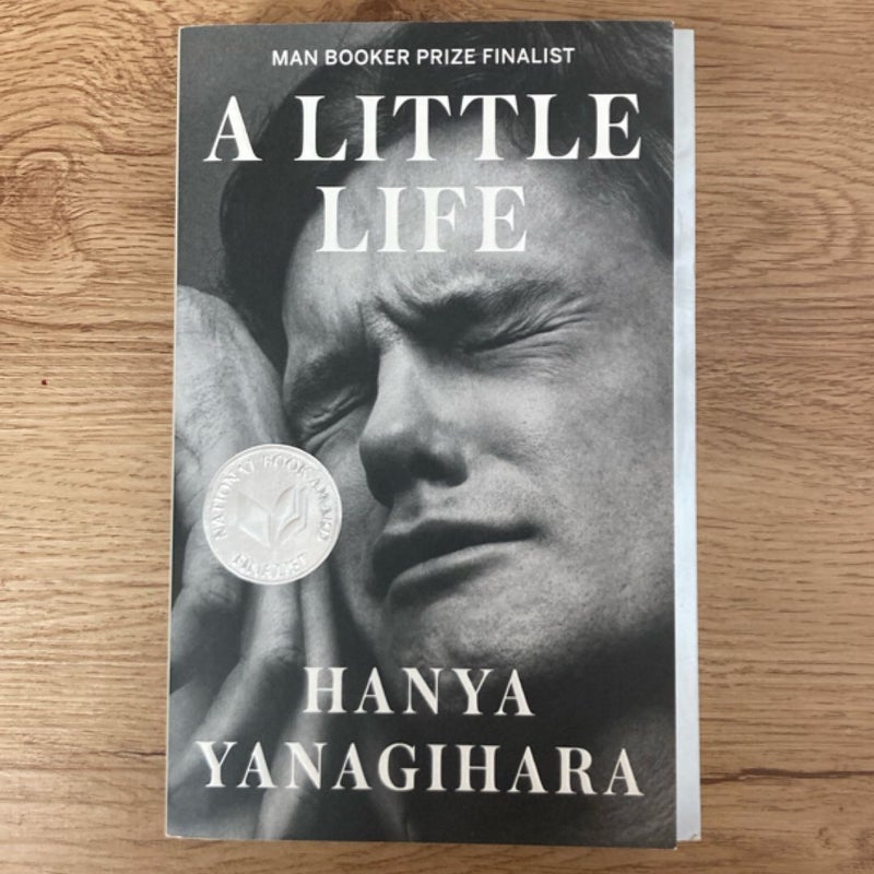 A Little Life
