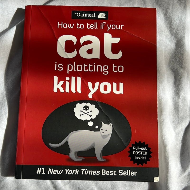 How to Tell If Your Cat Is Plotting to Kill You