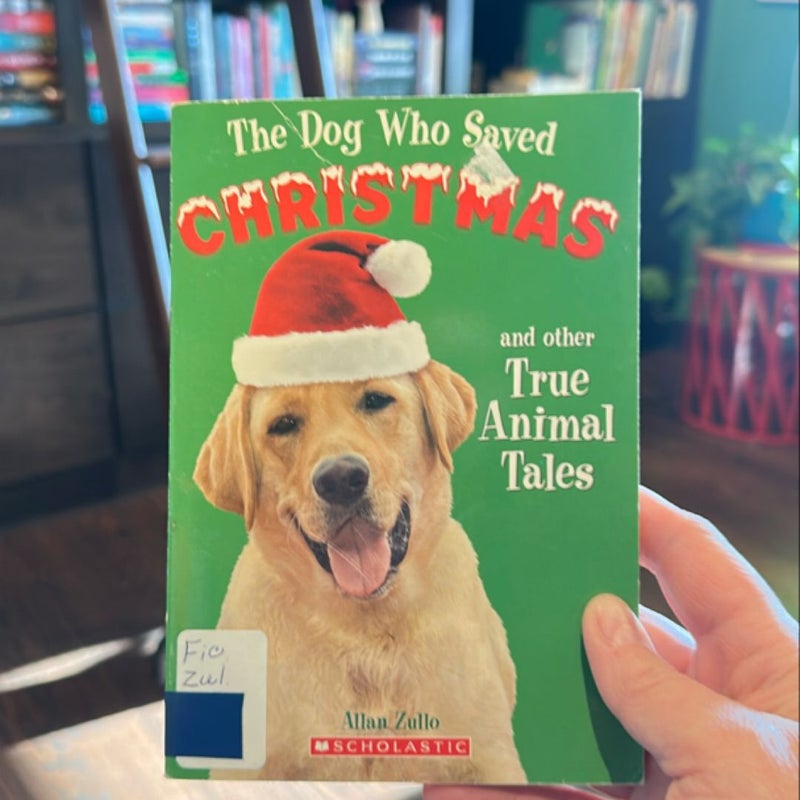 The Dog who saved Christmas