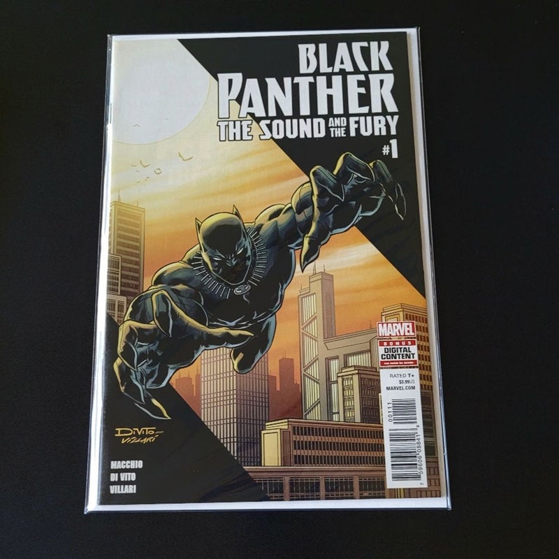 Black Panther: The Sound And The Fury #1