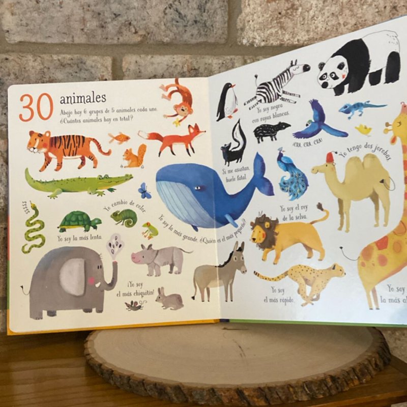 Cuenta Hasta 100(Count To 100)