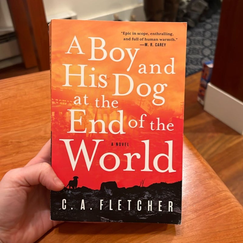 A Boy and His Dog at the End of the World