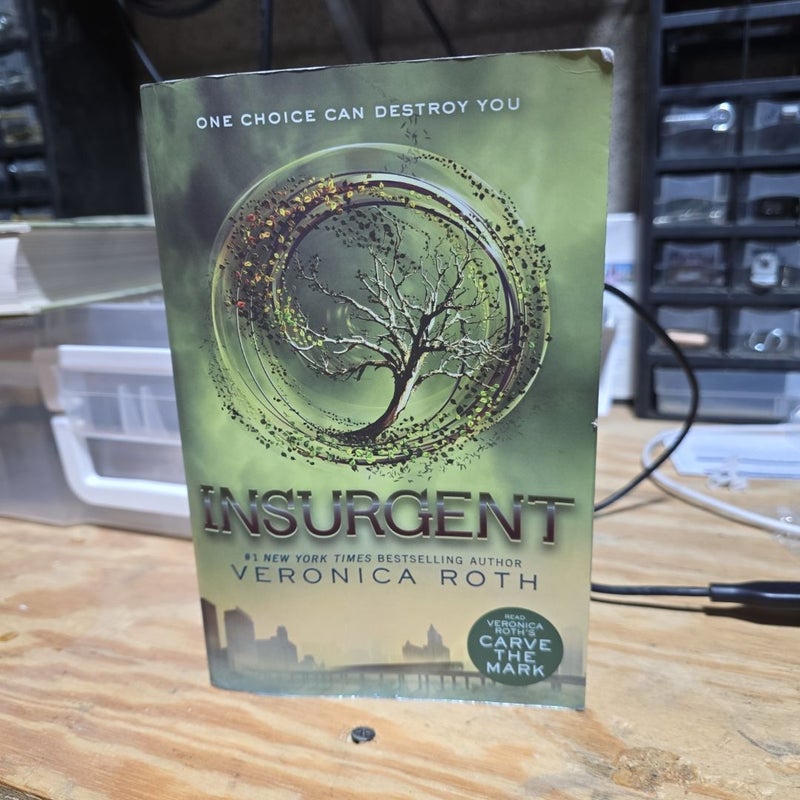 Insurgent