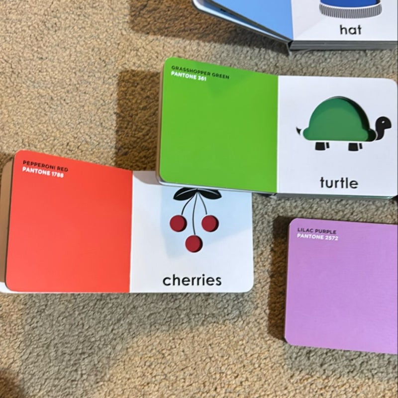 Children’s Pantone Color Block Books