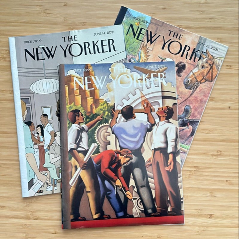 The New Yorker (bundle 8)