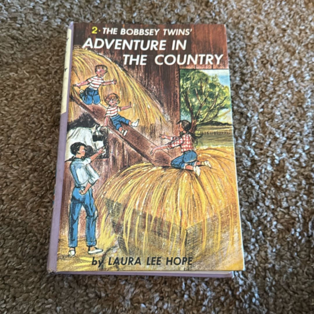 The Adventure in the Country