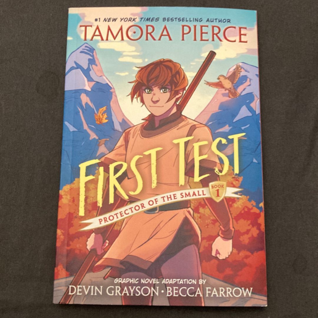 First Test Graphic Novel