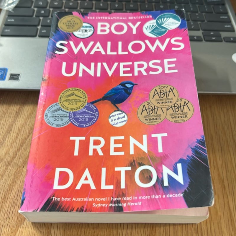 Boy Swallows Universe