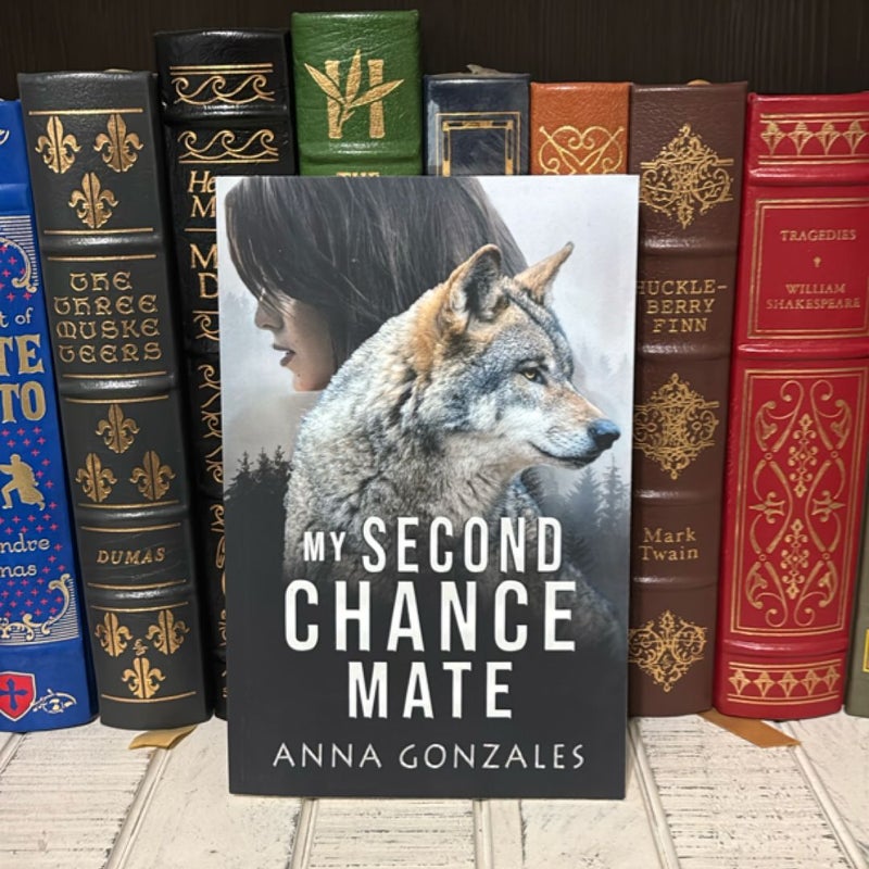 My Second Chance Mate