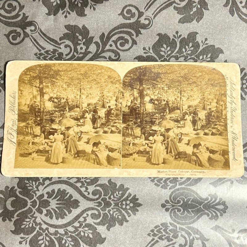 Rare Antique Stereoview Card