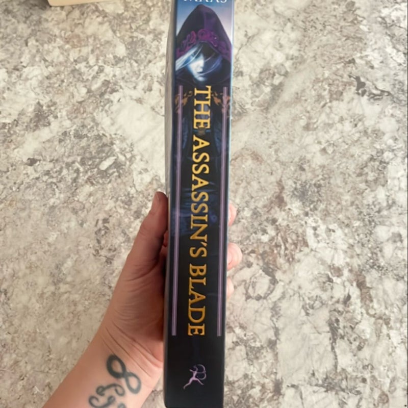 The Assassin's Blade - OOP cover