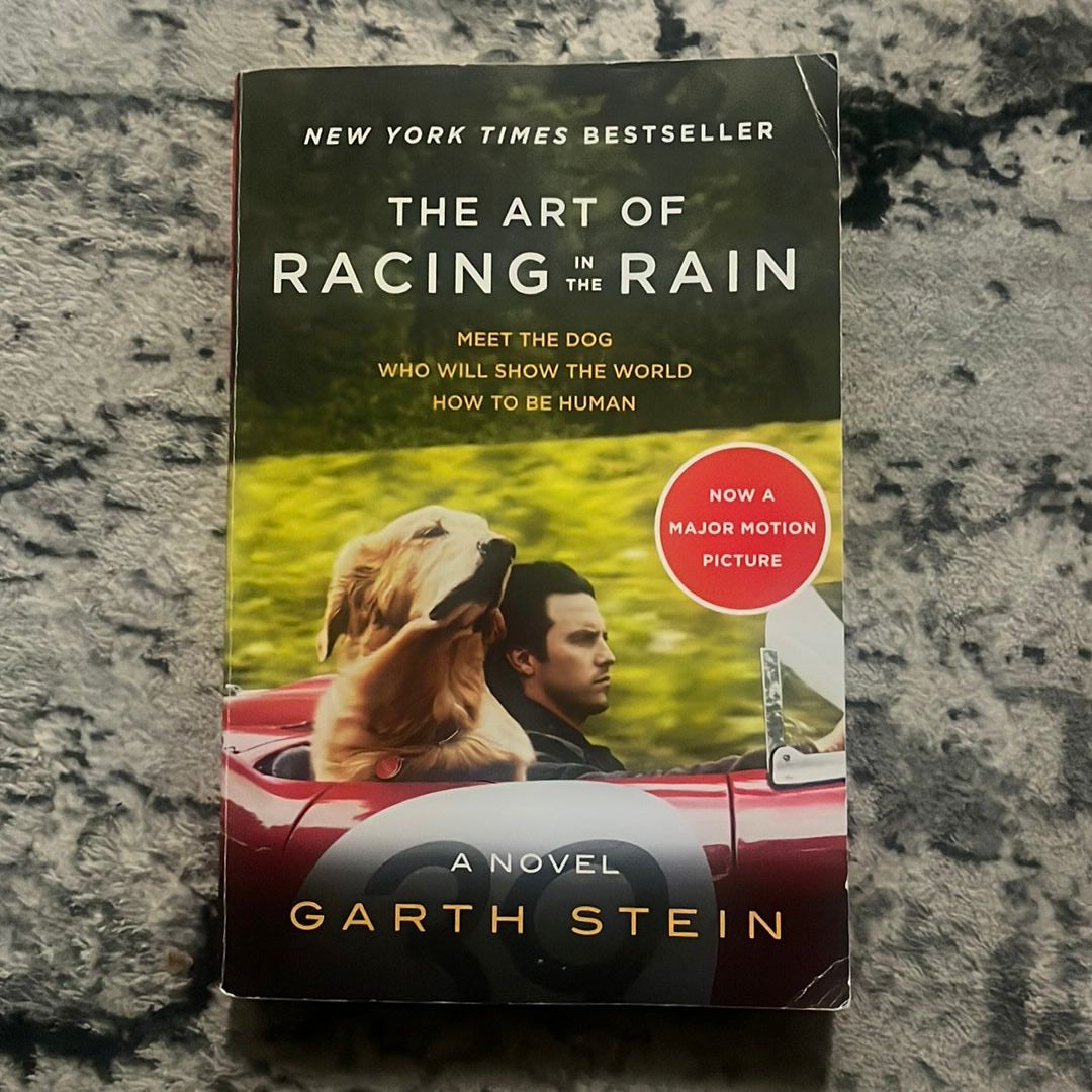 The Art of Racing in the Rain Tie-In