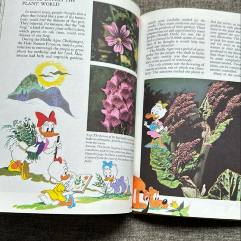 Disney's Wonderful World of Knowledge