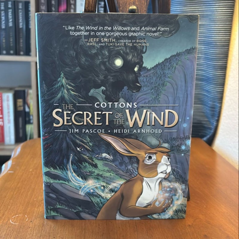 Cottons: the Secret of the Wind