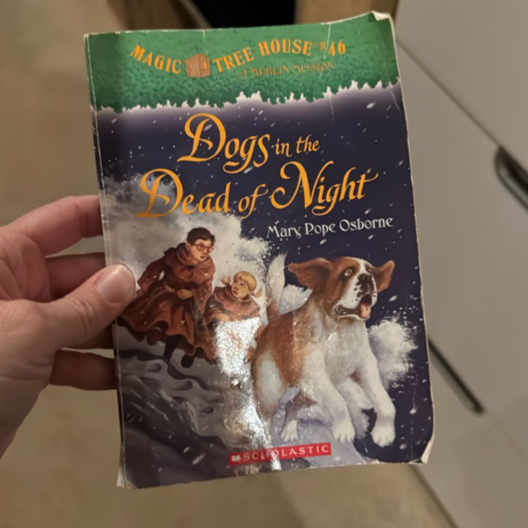 Magic, treehouse dogs, and the dead of night