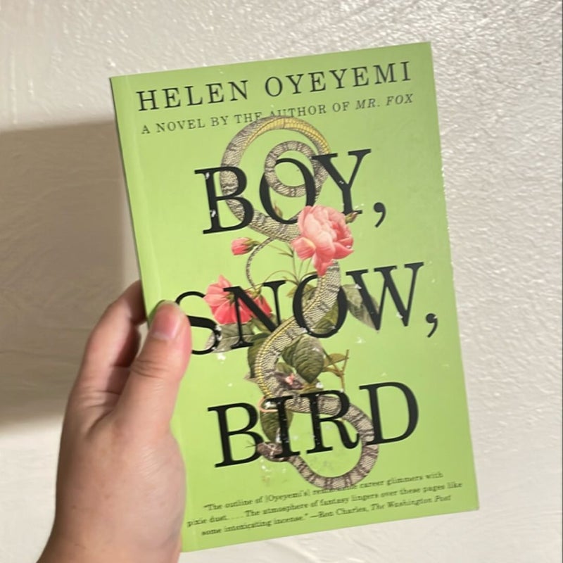 Boy, Snow, Bird