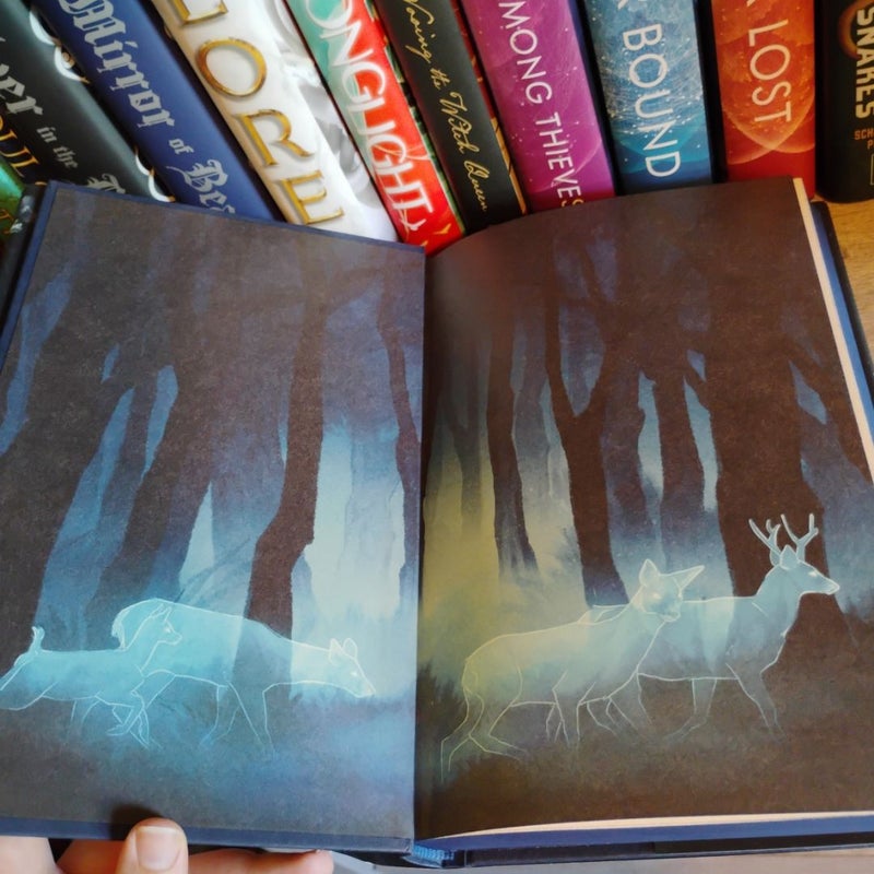 The Luminaries (OwlCrate)
