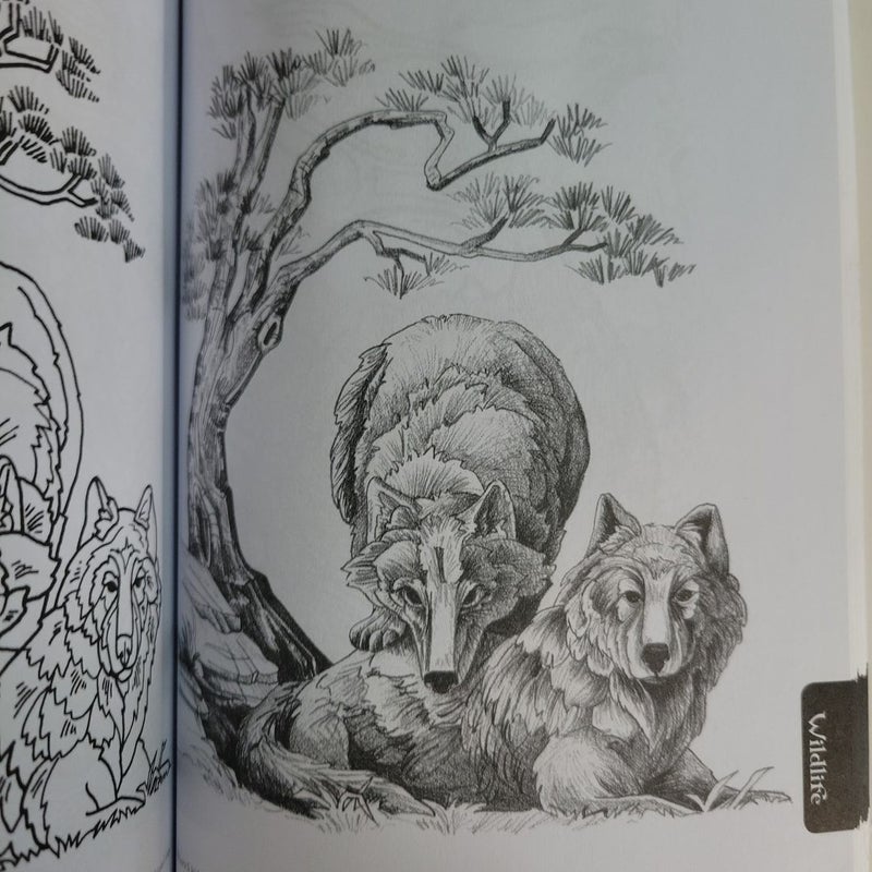 Great Book of Tattoo Designs, Revised Edition