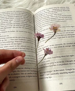 Handmade Real Flower Window Bookmark 🌸