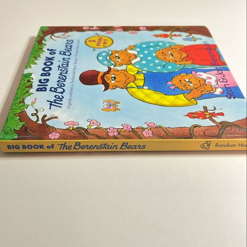 Big Book of the Berenstain Bears