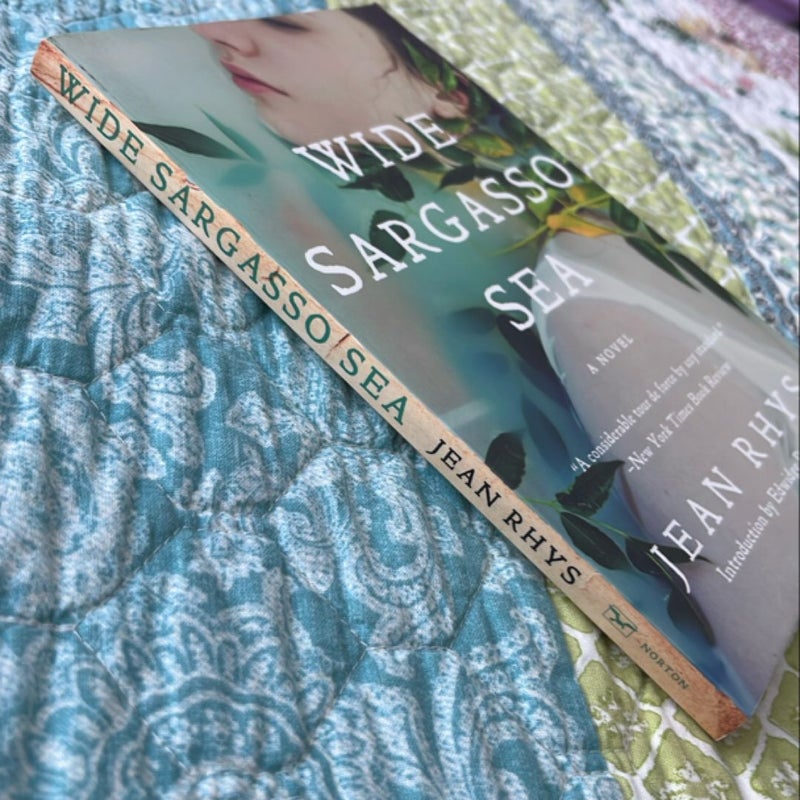 Wide Sargasso Sea