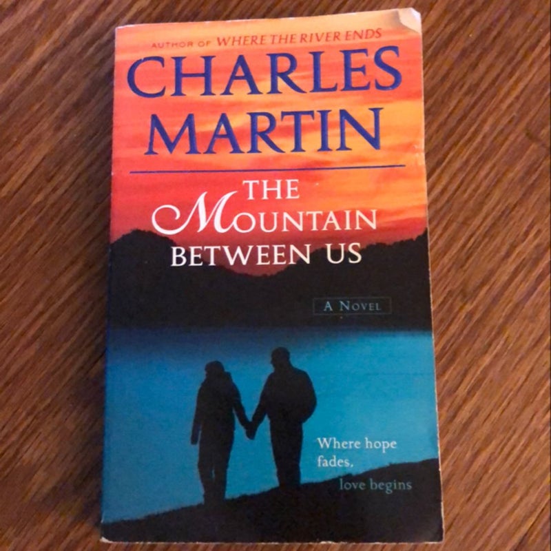 The Mountain Between Us