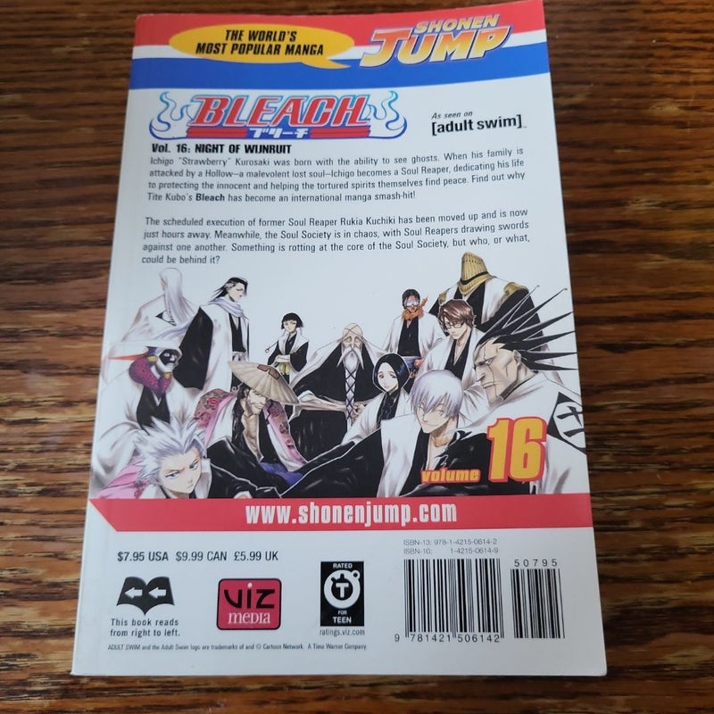 Bleach, Vol. 16