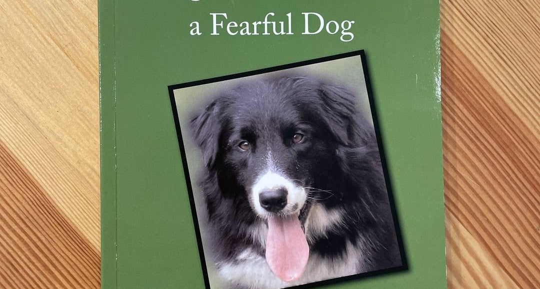 Debbie jacobs clearance fearful dogs