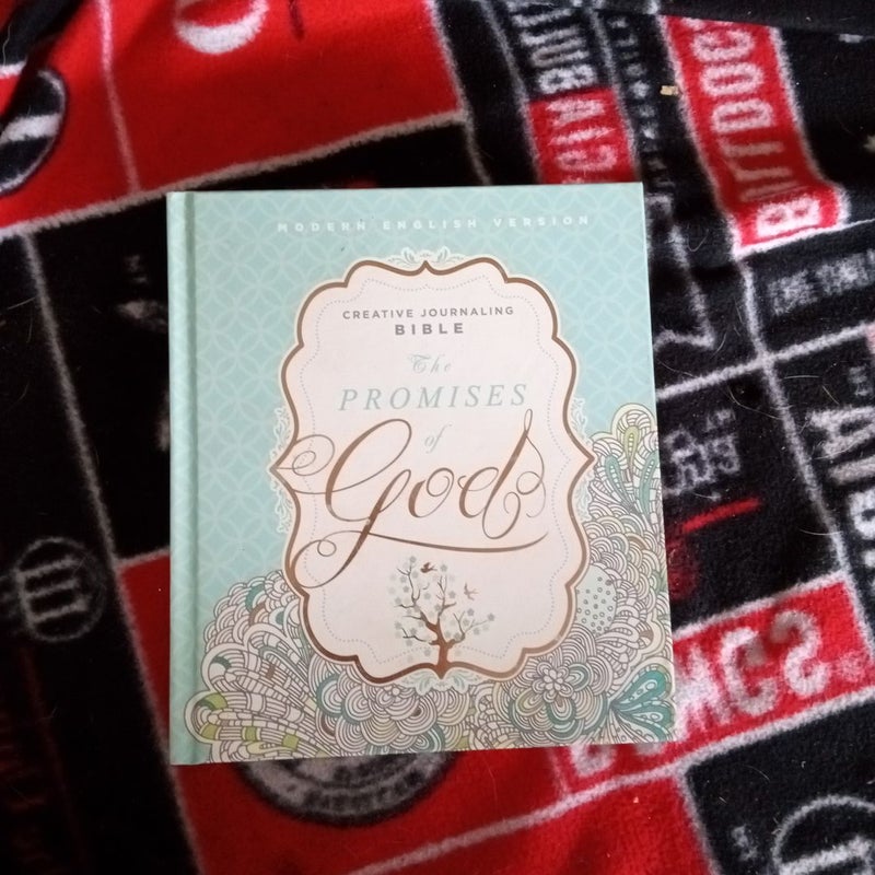 The MEV Promises of God Creative Journaling Bible