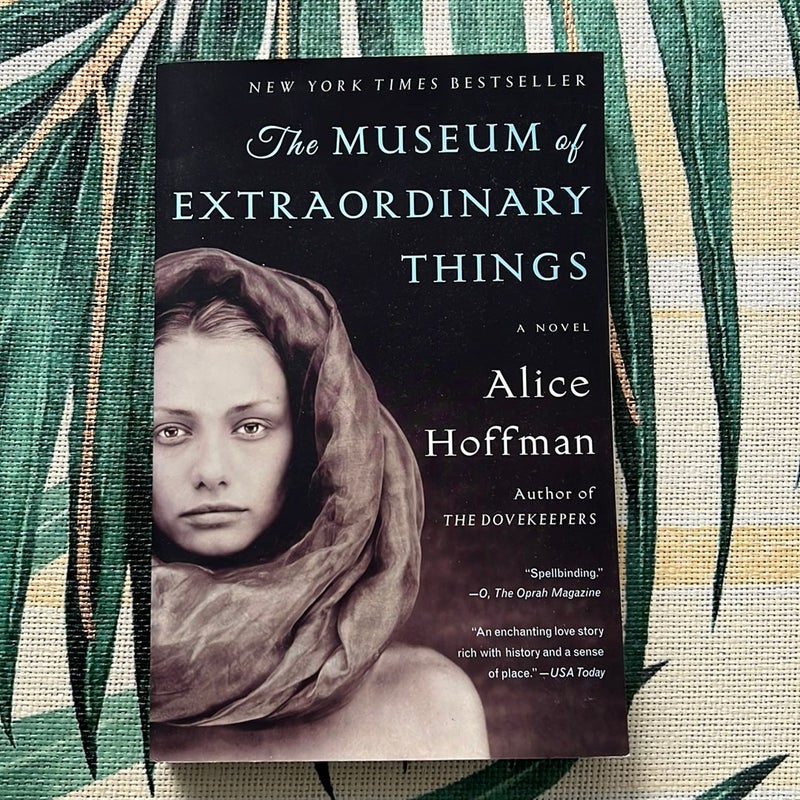 The Museum of Extraordinary Things