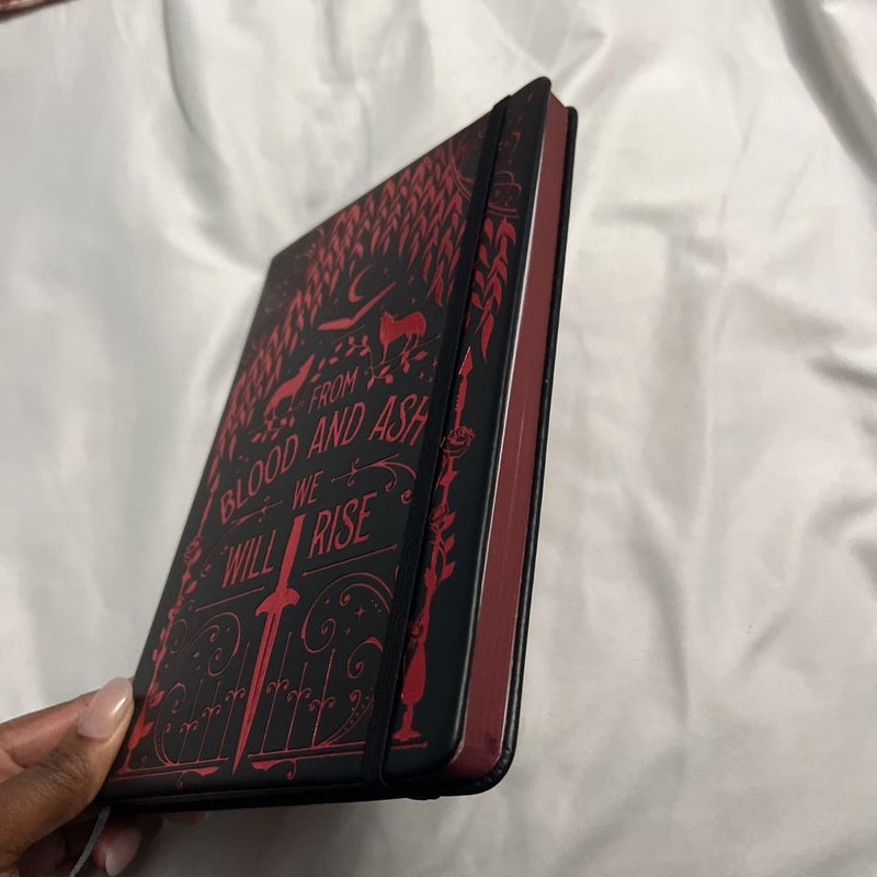 Book Journal/Sprayed Edges!! (Blood and Ash Theme)