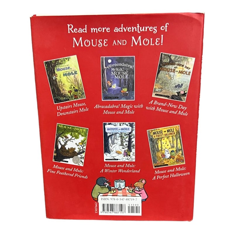 Mouse and Mole: Secret Valentine